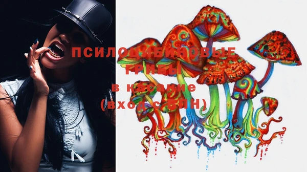 дурь Абинск