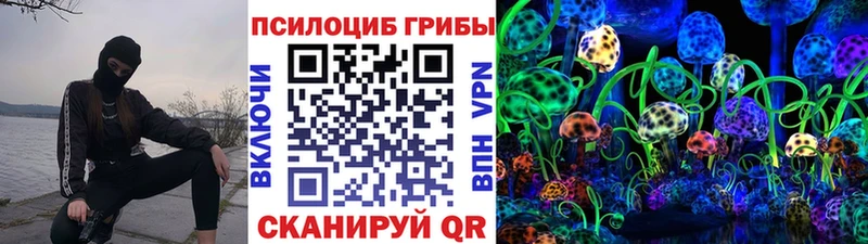 мега вход  Тутаев  Галлюциногенные грибы GOLDEN TEACHER 